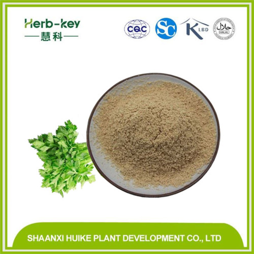 Kudzu Root Extract Celery Extract Apigenin 5% Supplier