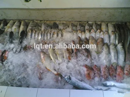 flake ice machine 1000kg