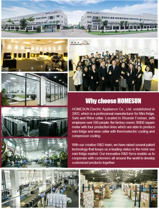 Best Brand for Cellar: Wine Rack Display Cabinet & Wine Cooler