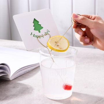 Stainless Steel Fruit Needle With Card Holder