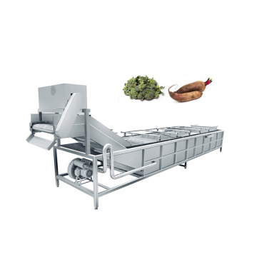 Industrial Vegetable and Fruit Washer Machine
