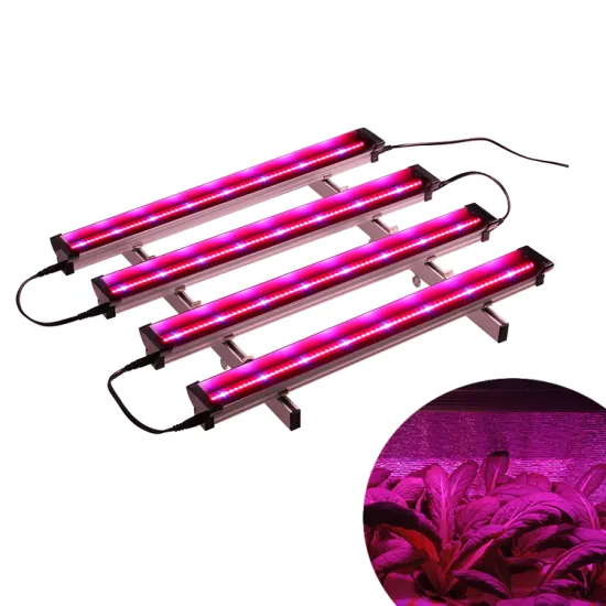 ETL Certified T5 4-Bar Full Spectrum LED Grow Light for Indoor Plants