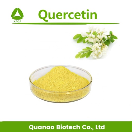 Vasodilator Protection Ingredients Sophora Japonica Extract Quercetin Powder 95% HPLC Manufactory