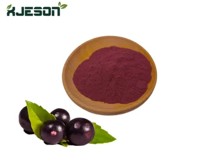 Acai Berry Extract Powder Acai Powder