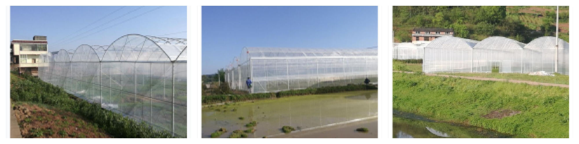 חממות ירקות של מחוז ננצ'ואן Nanchuan District Daguan Town Vegetable Greenhouses