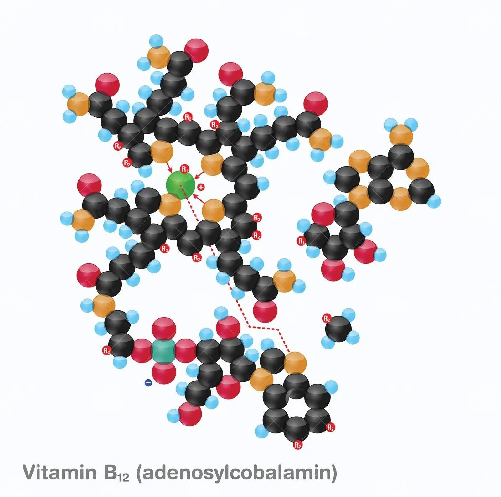 vitamin b12-adenosylcobalamin