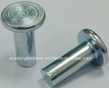 Rivet / Flat Head Rivet
