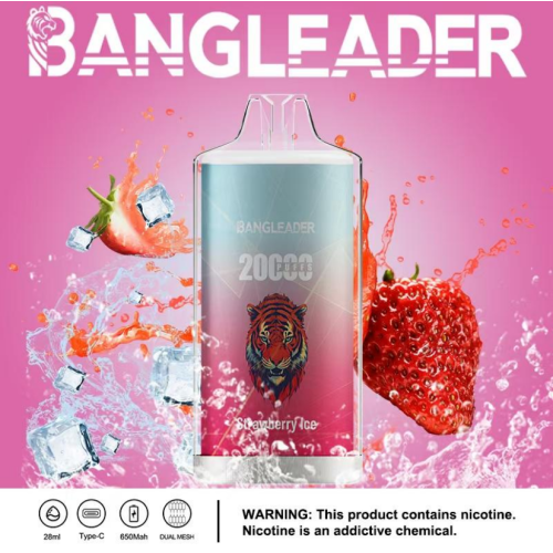 Bang Leader 20000 Puffs Disposable Vape Wholesale