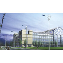 Chất lượng cao giá rẻ nhất mạ kẽm điện ánh sáng đường phố