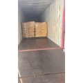 Natural Plant Growth CSL Powder with Organic Nitrogen