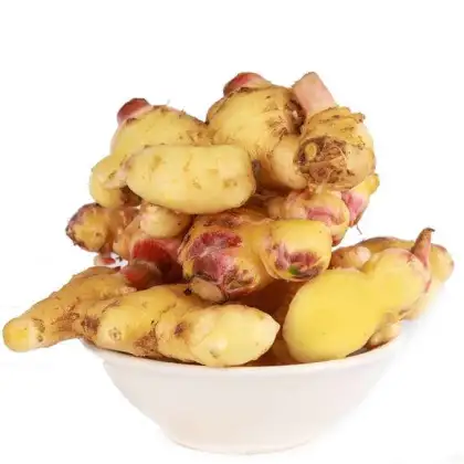 Fresh Ginger Mesh Bag Fresh Vegetable for Sale