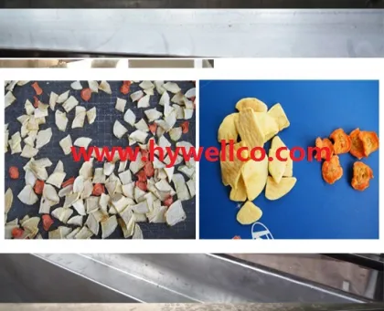 Brown Sugar Microwave Vacuum Dryer