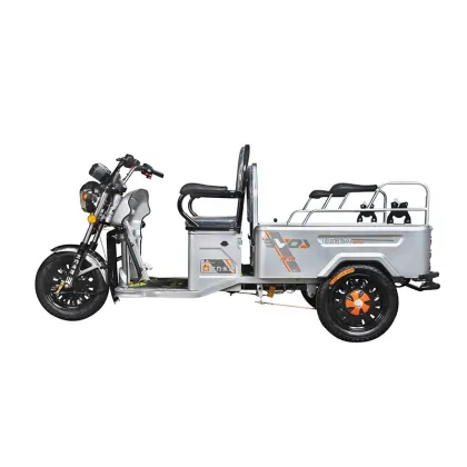 Affordable Adult Motorized Tricycles and Scooters
