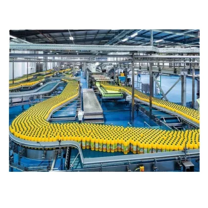 Juice Drinks Production Line in France