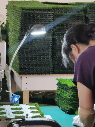 Best Artificial Turf Installation