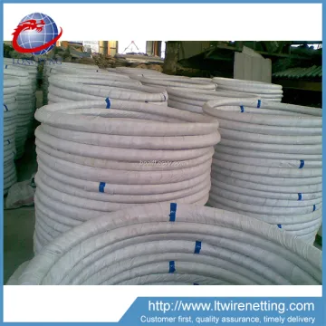 Anping wholesale hot dipped galvanized steel wire for fishing net