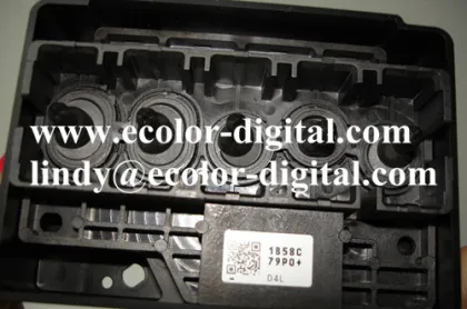 Epson DX5.5 Print Head