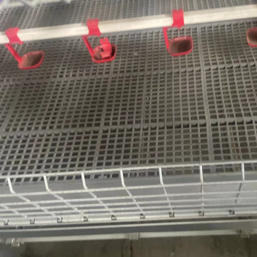 High Quality Poultry Coop and Drinking Water System for Broilers