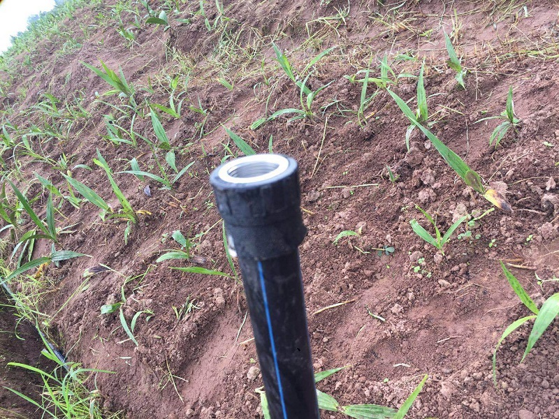 Chongqing Qingcheng Agriculture's Hechuan Drip Irrigation Project Passes Acceptance Inspection, Client Praises Service Quality!