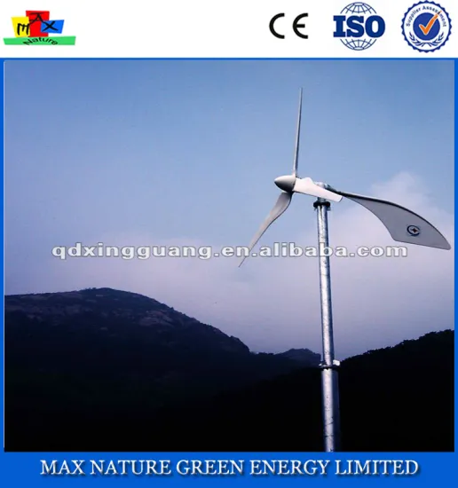 HOT! Horizonal Axis 600W Wind Generator For House Use