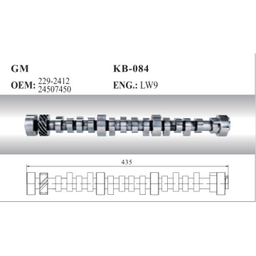 Eixo de cames para GM-Buick LW9 Motor 24507450 para GL83.0 (V6) 3.0 Modelo