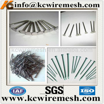 Low Price Iron Common Nails China