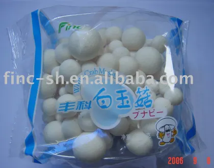 white shimeji mushrooms fungus