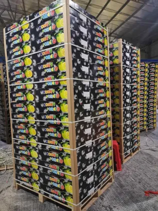 Fresh Pomelo New Crop