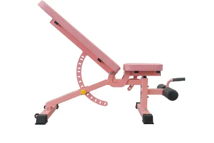 Professional Commercial Gym Equipment: Multifunctional Adjustable Dumbbell Bench, Flying Bird Supine Training Bench & Abdominal Muscle Board