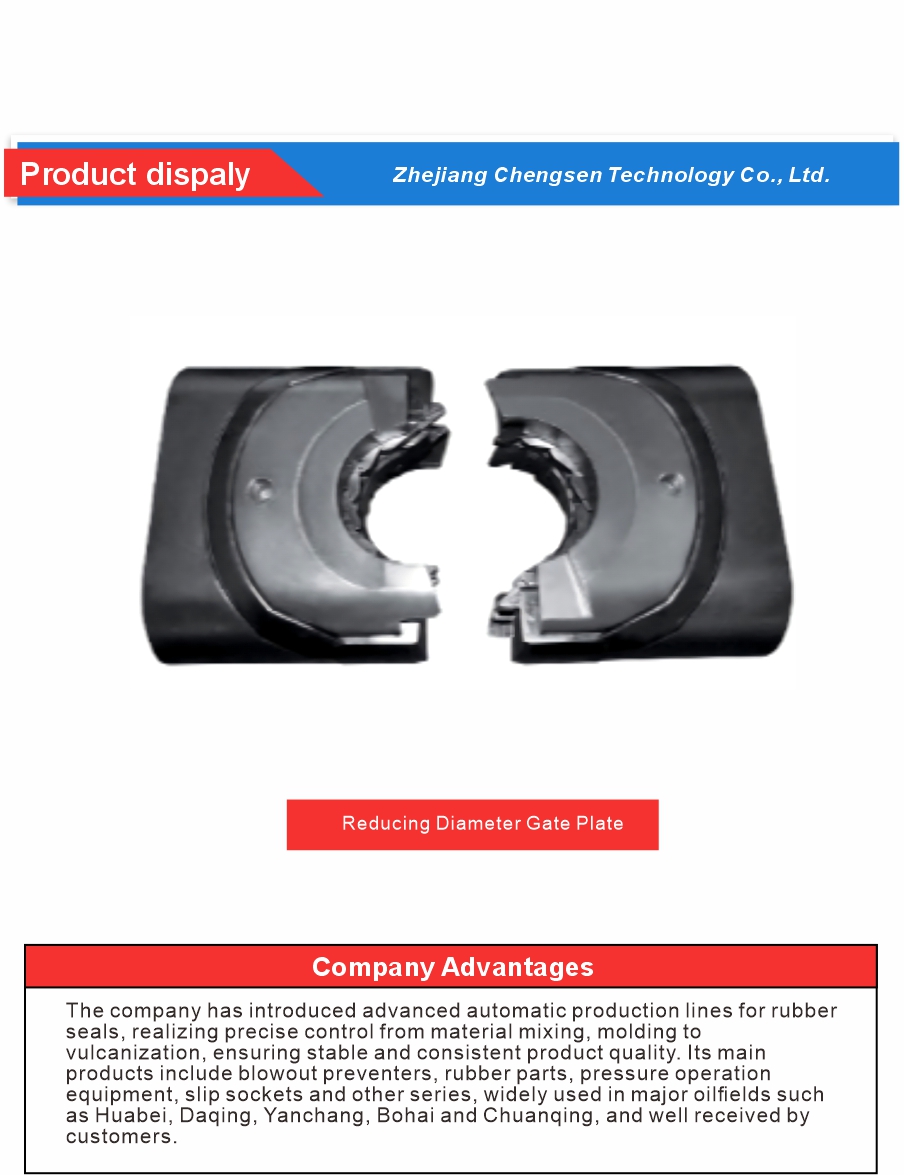 Multi Size BOP Ram Assembly