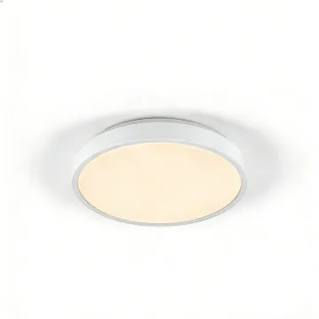 Ceiling-mounted LED light for interiors