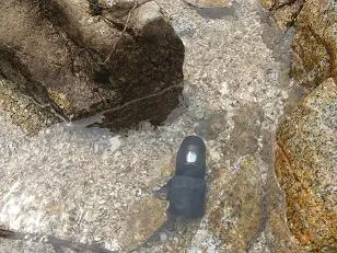 Waterproof Sports Camera