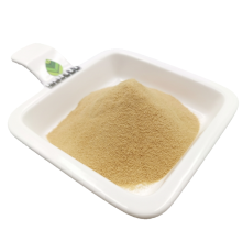 Cosmetic grade SOLAGUM AX Mask thickener