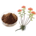 Natural Rhodiola Rosea Extrakt Salidrosid / Rosavin