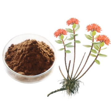 Extrait naturel de Rhodiola rosea Salidroside / Rosavin