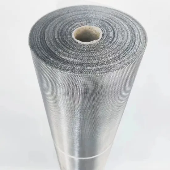 20 Mesh Stainless Steel Wire Mesh 304/316