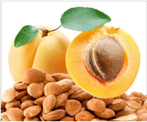 China Good Quality Apricot Kernel (2-3cm)