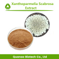 Lichen Extract Xanthoparmelia Scabrosa Extract Powder 10:1