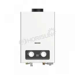 Flue type Gas Gas Water Heate JSD20