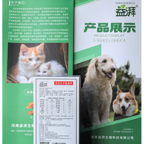 Suplementos nutricionales preoperatorios para perros y gatos