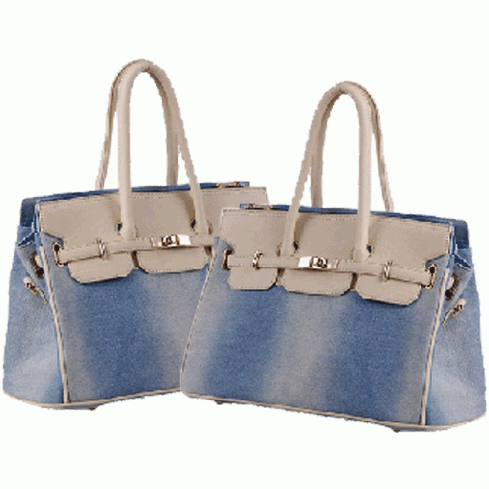 Ladies Handbag Ladies Handbag