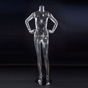 China NO 1 PC transparent young sex female model nude female body