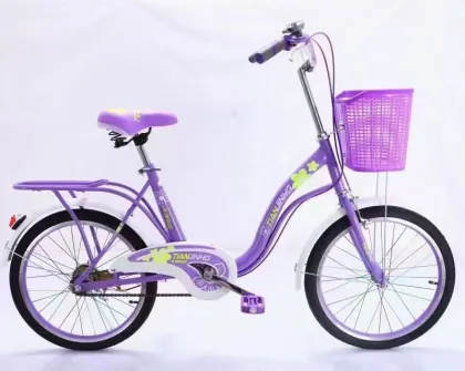 Student Bicycle/Factory Wholesale Price