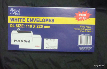 50 Traditional Airmail Envelope Paper Pouch CD/DVD Paper Sleeve Peal & Seal A4 Envelope White Paper Postcode Square