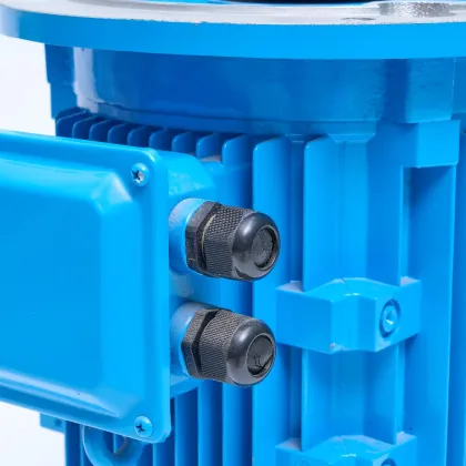 Chemical Pump Long Shaft Electric Motor
