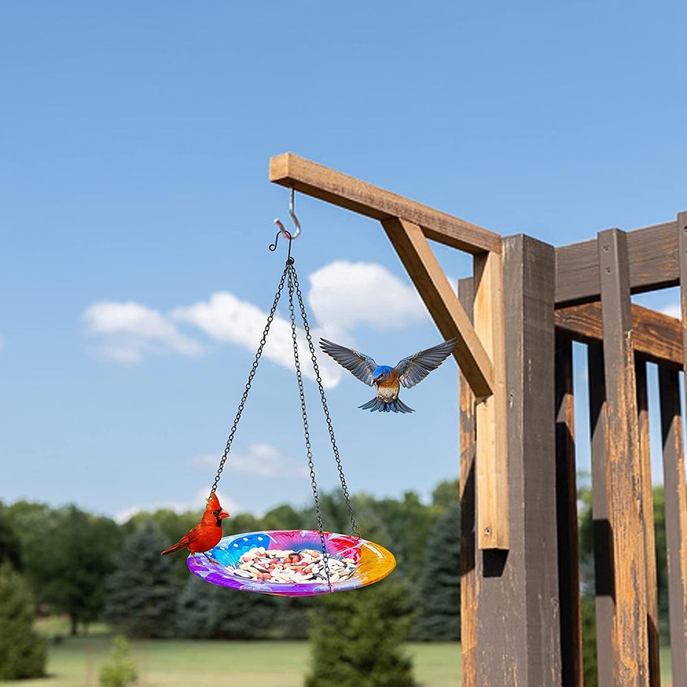 Pendants d&#39;oiseaux et bains suspendus à l&#39;extérieur