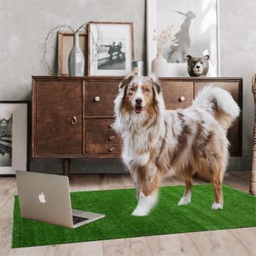Linwoo 10mm 60cm*90cm UV Certified Outdoor Dog Pee Pad