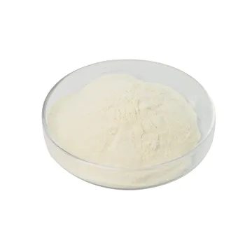 High-Quality Alpha-Galactosidase Enzyme from Active Manufacturers