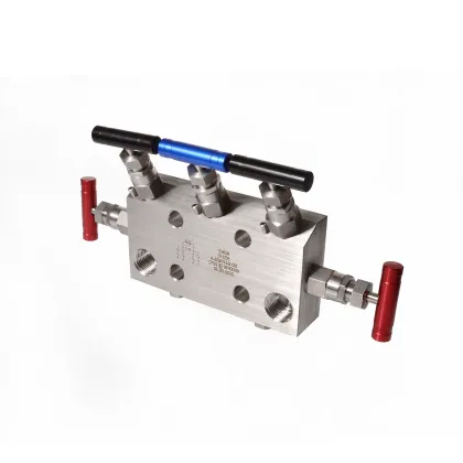 6000psi Stainless Steel Instrument Air 5-Valve Manifold with Needle Valve