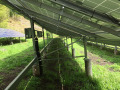 Manteneros solares de acero galvanizado para la planta de energía solar.